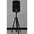 12 Inch Trolley Speaker Box with Big Power Bank Bluetooth FM F12-1